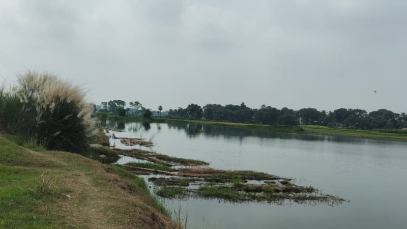 ৩৫ বিঘার মাছের ঘের নিয়ে শার্শায় টানটান বিরোধ