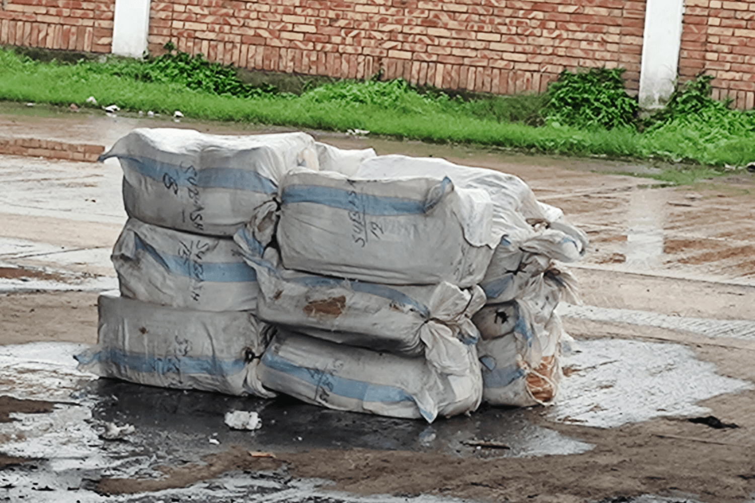 বেনাপোল বন্দরে মিথ্যা ঘোষণায় আনা ১২ কার্টন ইলিশ জব্দ, নিলামের প্রস্তুতি