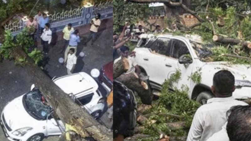 পশ্চিমবঙ্গে কালবৈশাখীর তাণ্ডব, প্রাণ গেল ৭ জনের