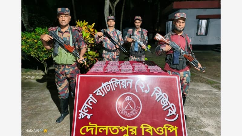 বেনাপোল সীমান্তে বিজিবির অভিযানে ভারতীয় পন্ডস ফেসওয়াশ জব্দ