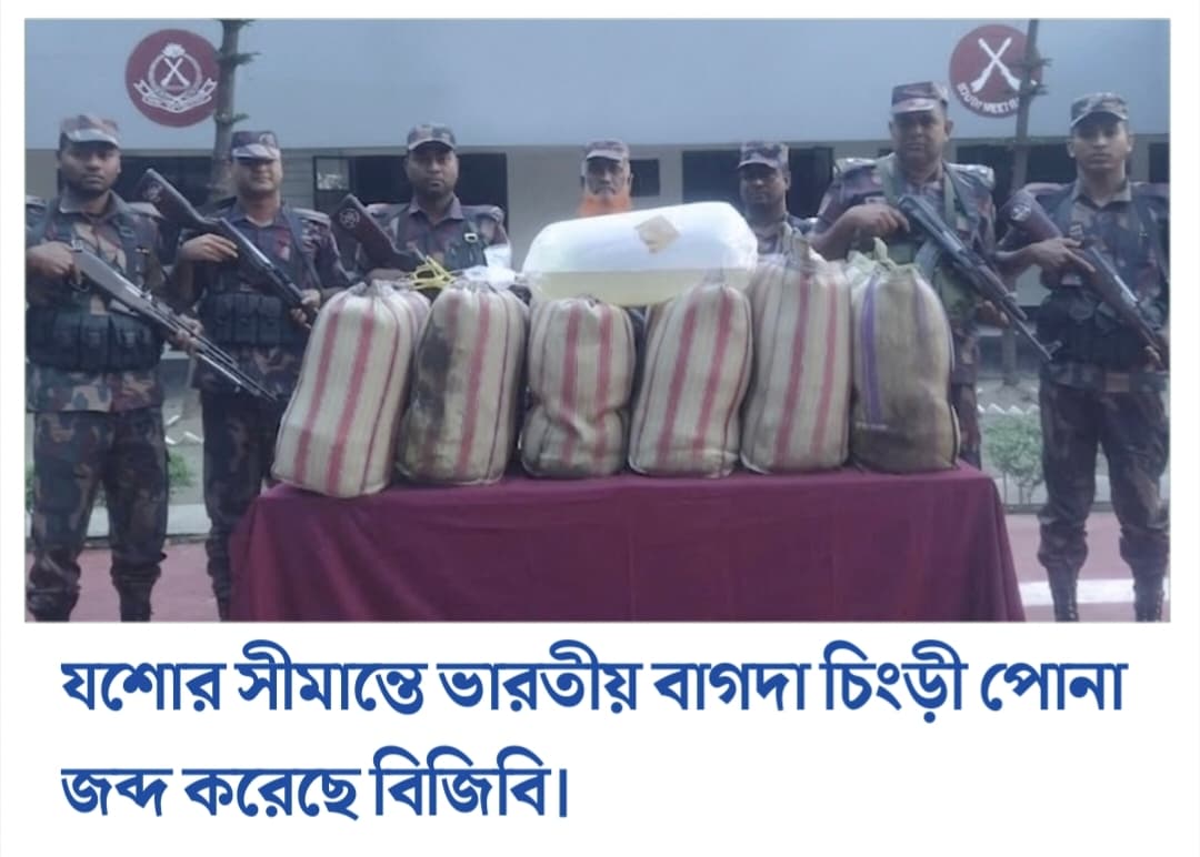 যশোর সীমান্তে ভারতীয় বাগদা চিংড়ী পোনা ও পণ্যসামগ্রী জব্দ করেছে বিজিবি