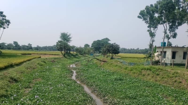 শার্শার-কলারোয়ার ৫২ বিলের জলাবদ্ধতা নিরসনের দাবি জোরালো