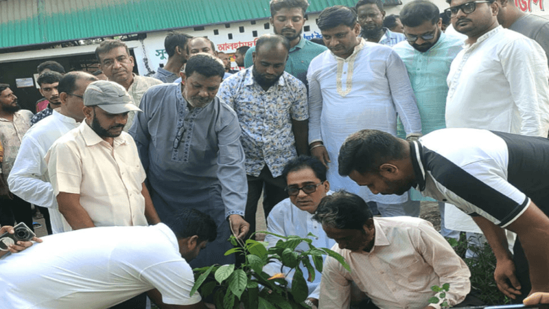 বিএনপির উদ্যোগে সবুজ বেনাপোলের প্রত্যয়ে পঞ্চম দিনের বৃক্ষরোপণ